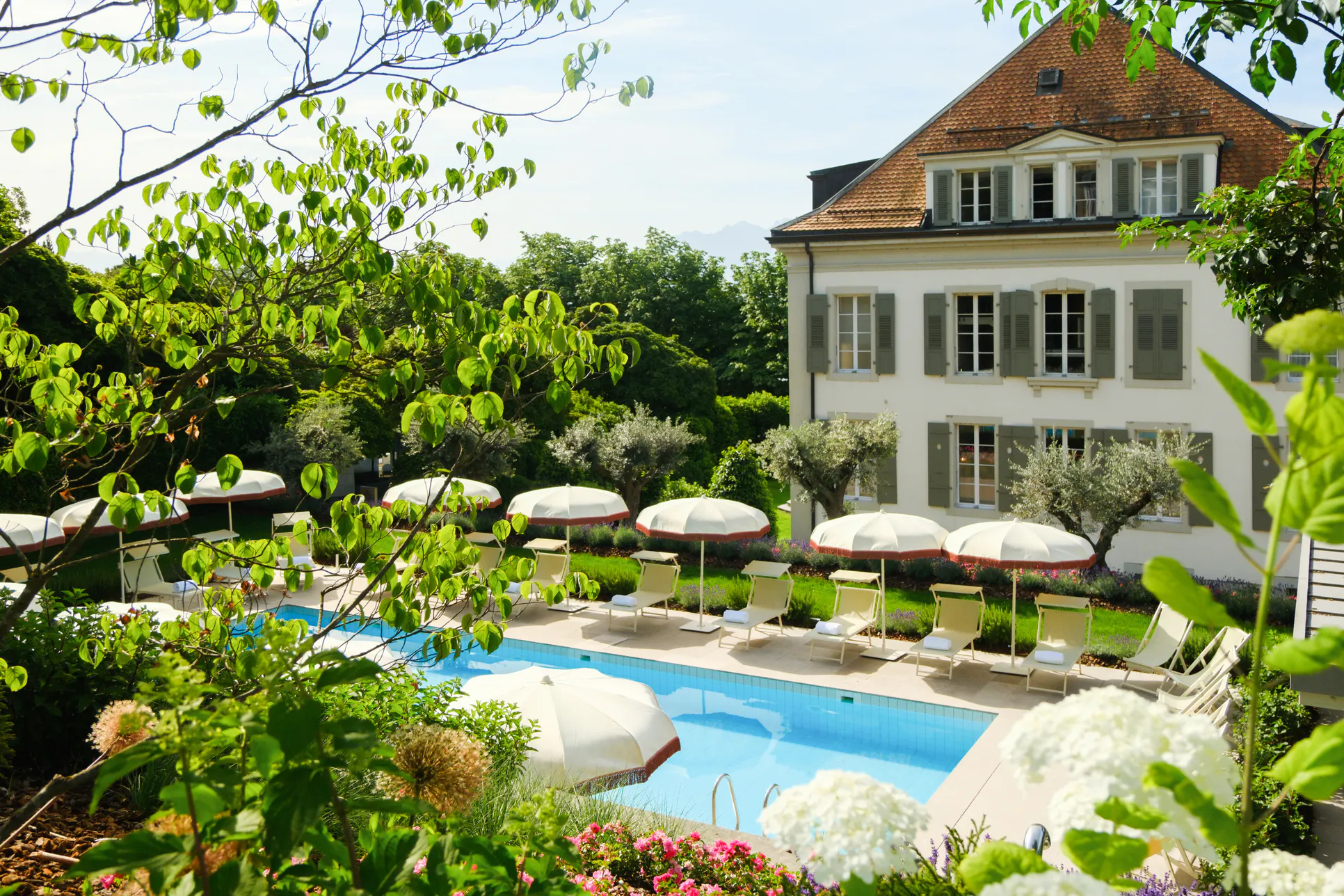 Voucher Hotel Angleterre