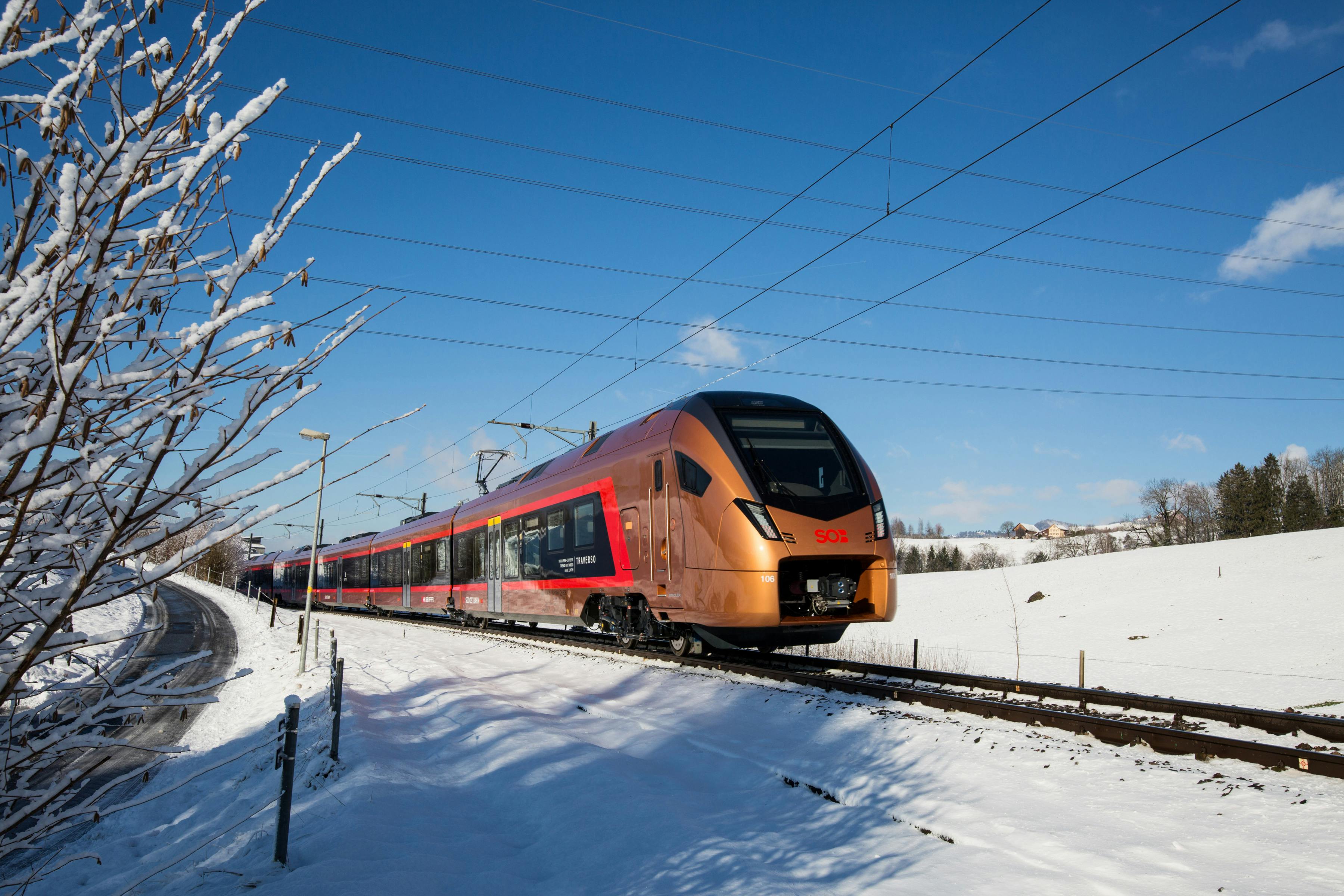 Viaggio panoramico Svizzera