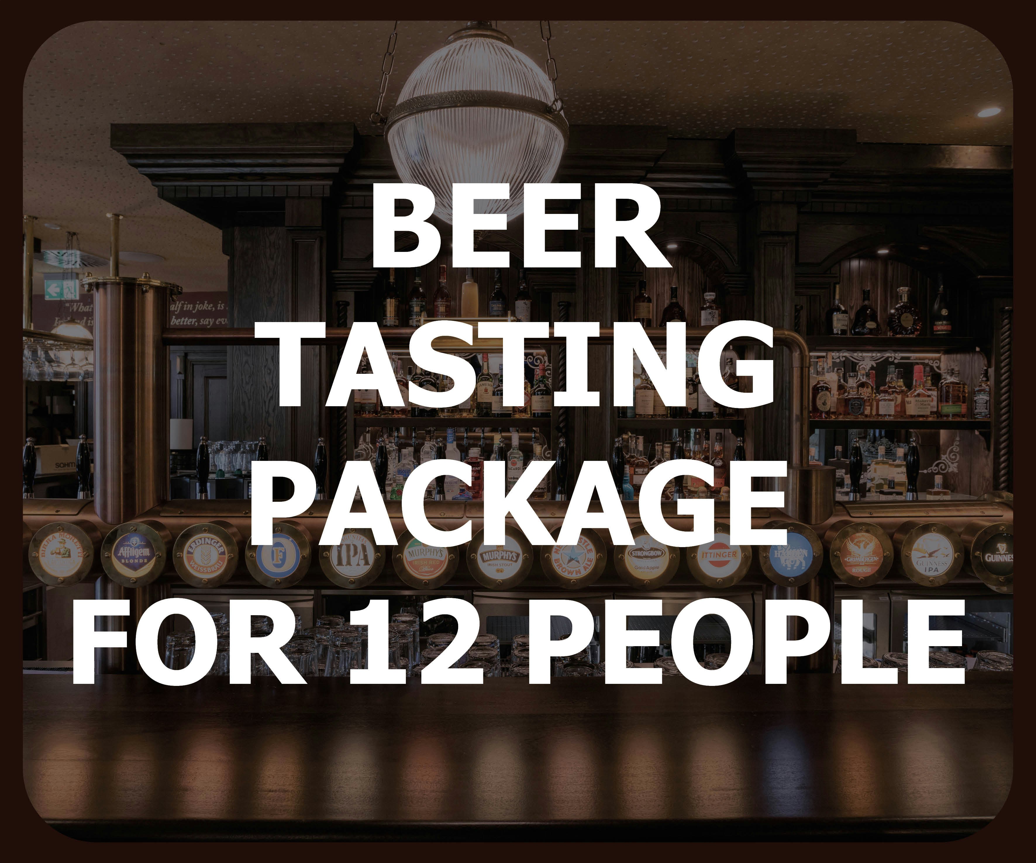 Beer tasting at the Willow Yard Pub - package for 12 people