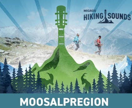 Ticket Moosalpregion