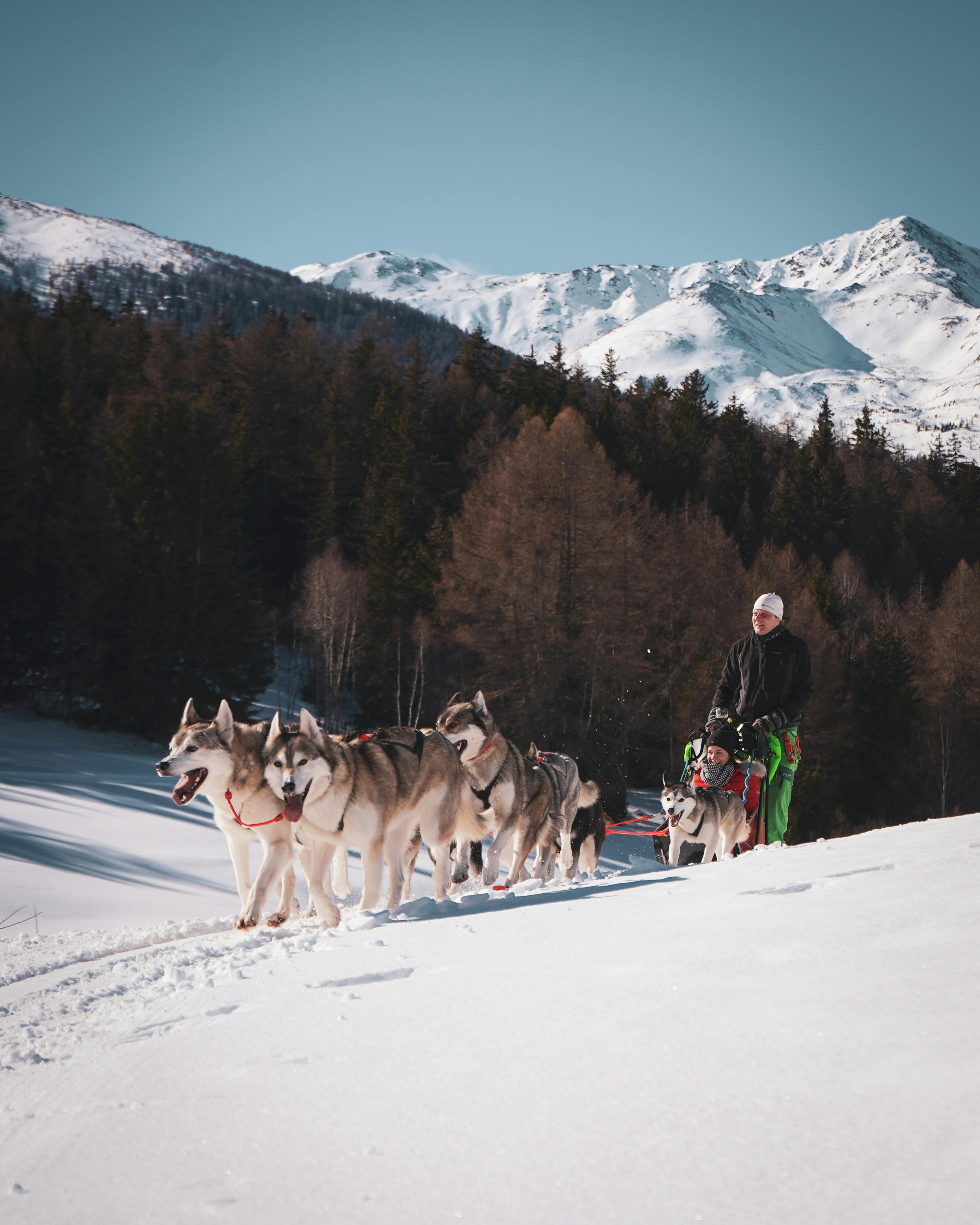 Husky Days 2025 in der oberen Hellela