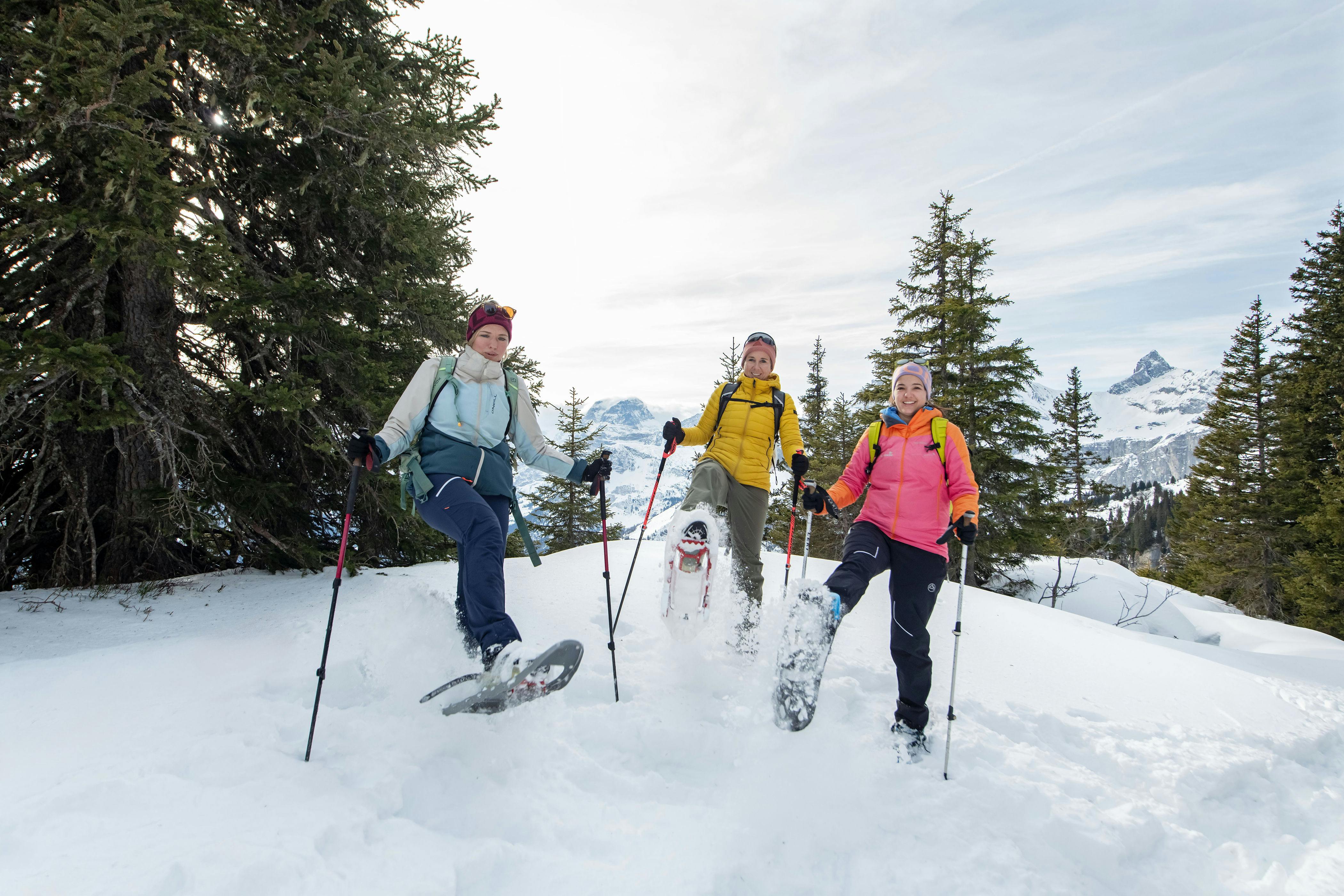 Winterwanderer Tageskarte ab Braunwald
