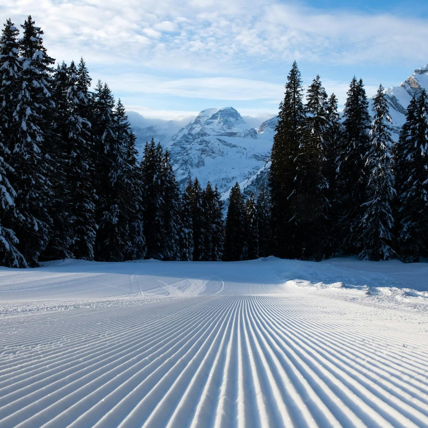 Jahreskarte Elm/Braunwald 2024/25