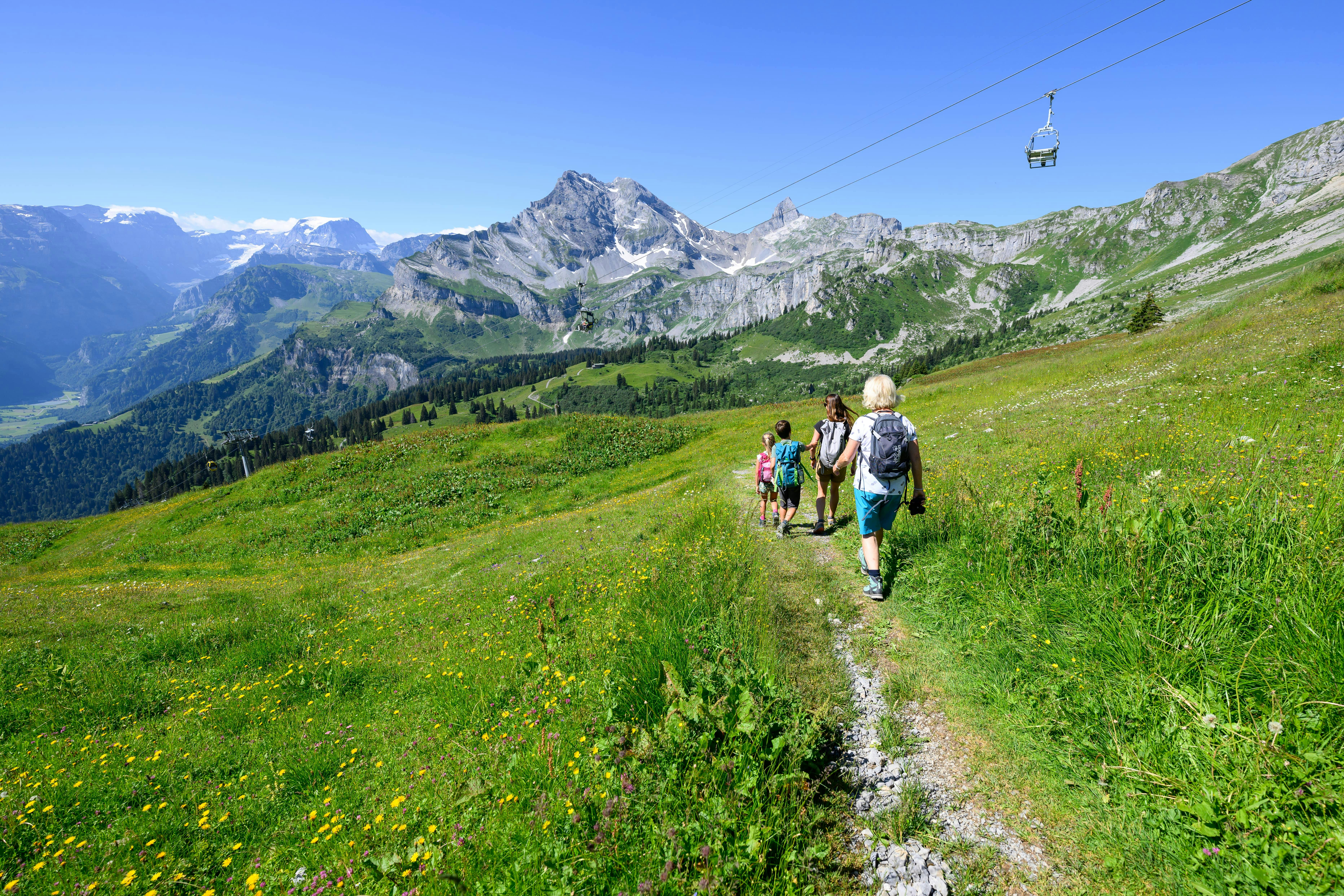 Tageskarte Sommer (ab Braunwald)