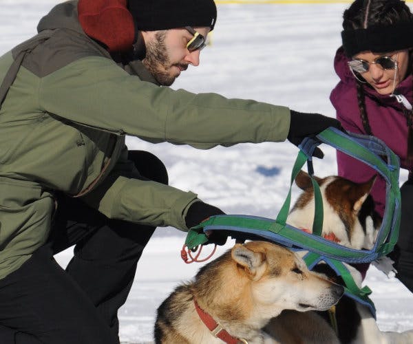 Huskymotion Toggenburg