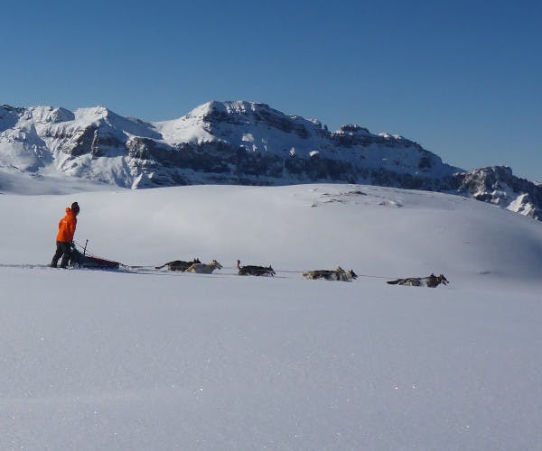 Schlittenhunde Zweitagestour