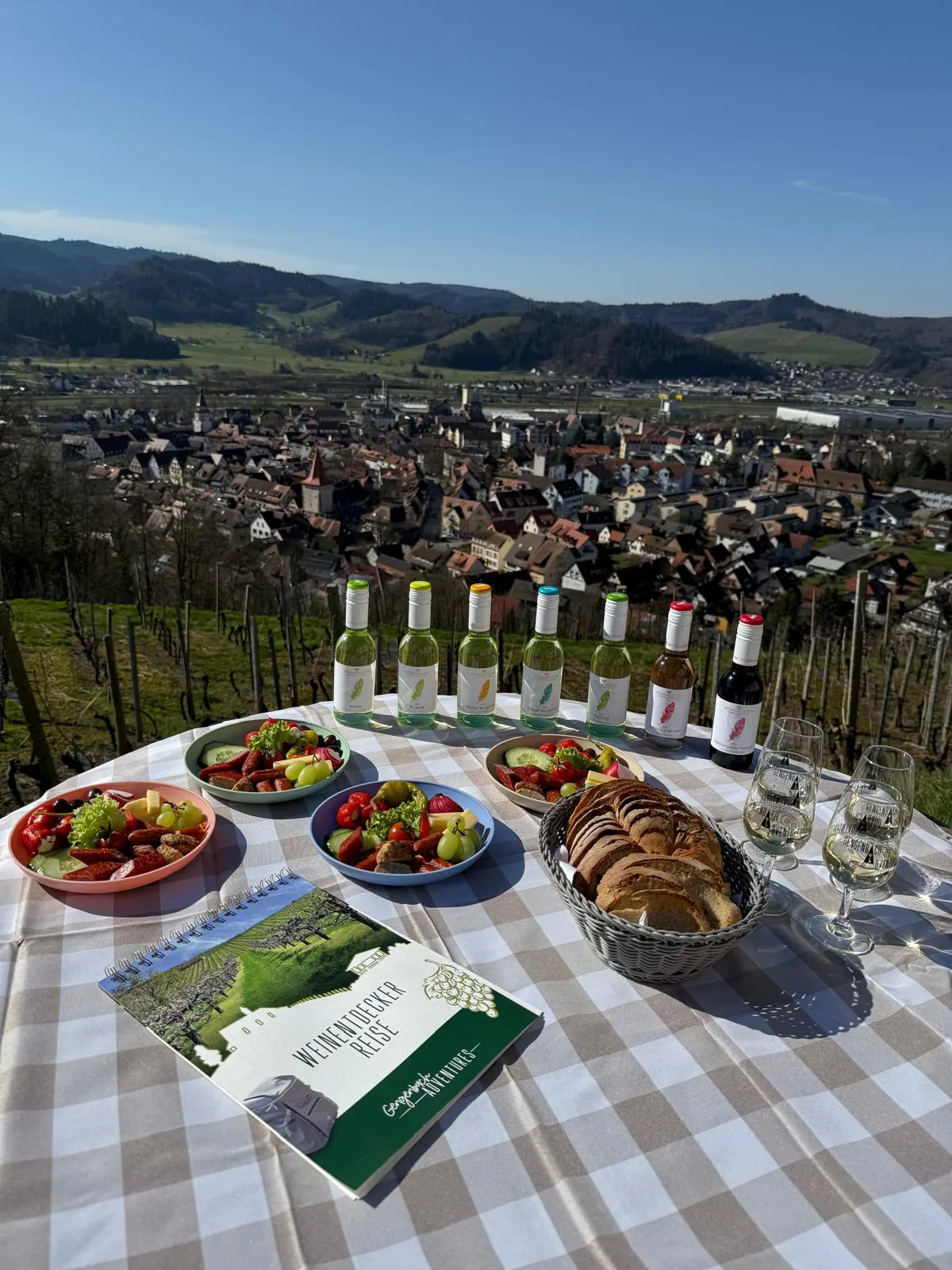 Tagesarrangement Weinentdeckerreise