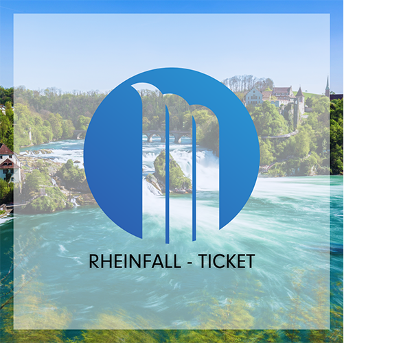 Rheinfall-Ticket