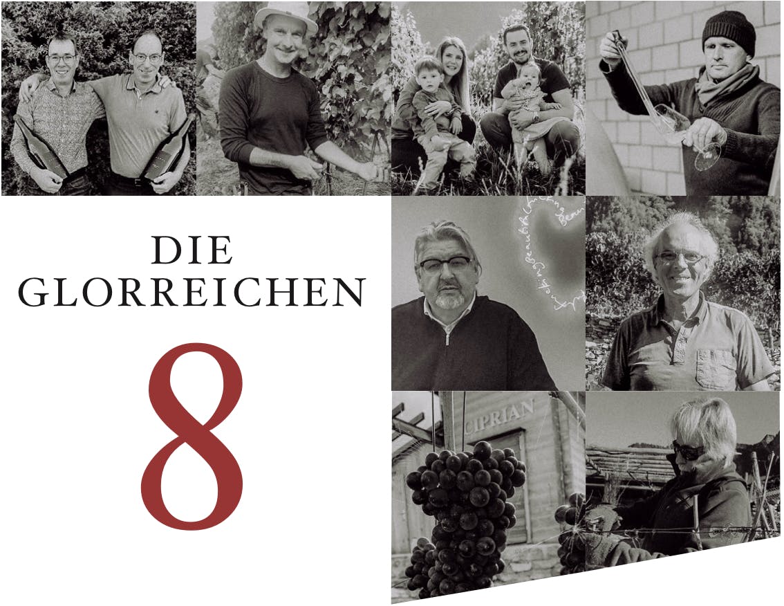 Die Glorreiche 8 Winzer-Live-Talk