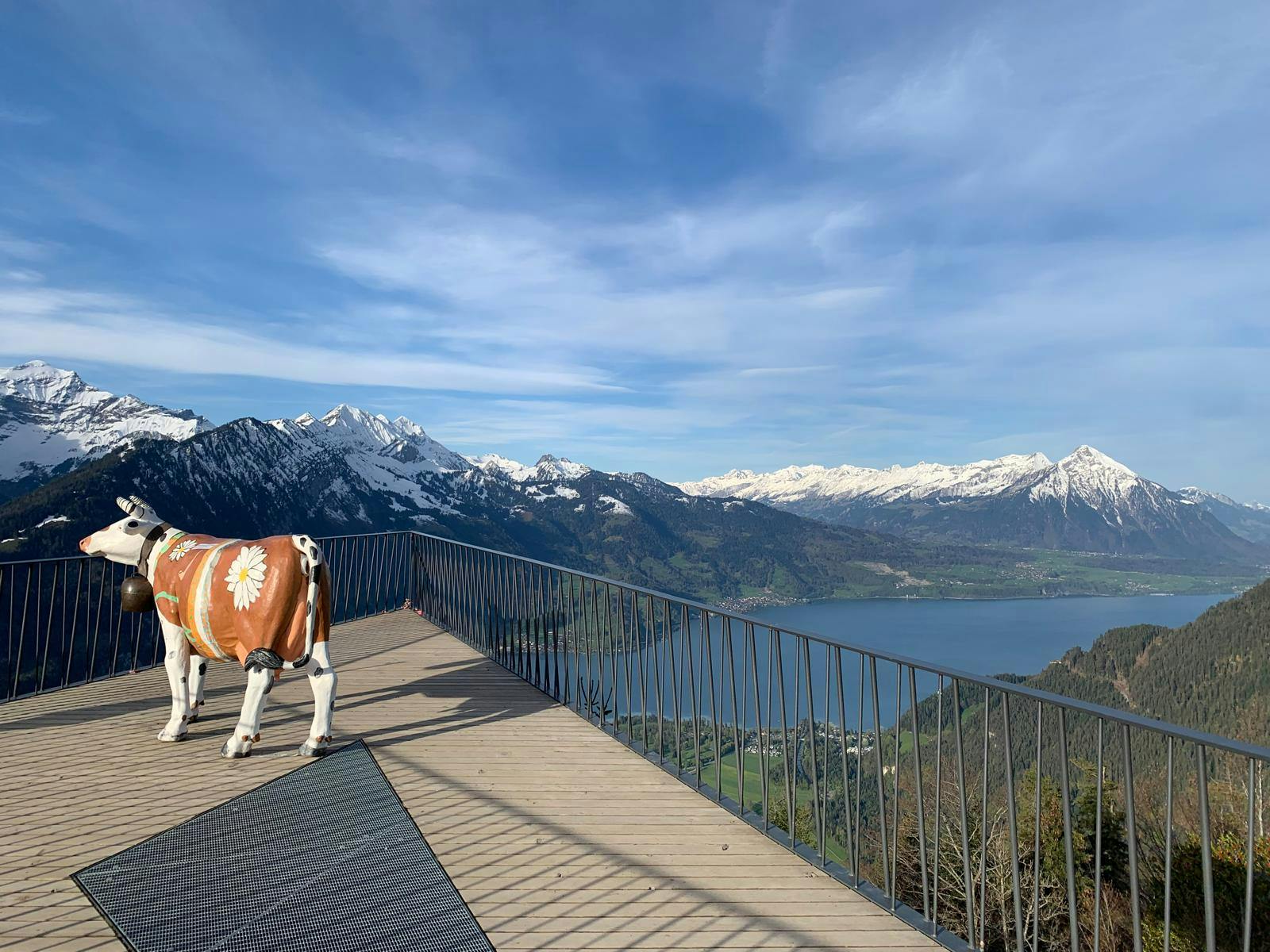 Top of Interlaken