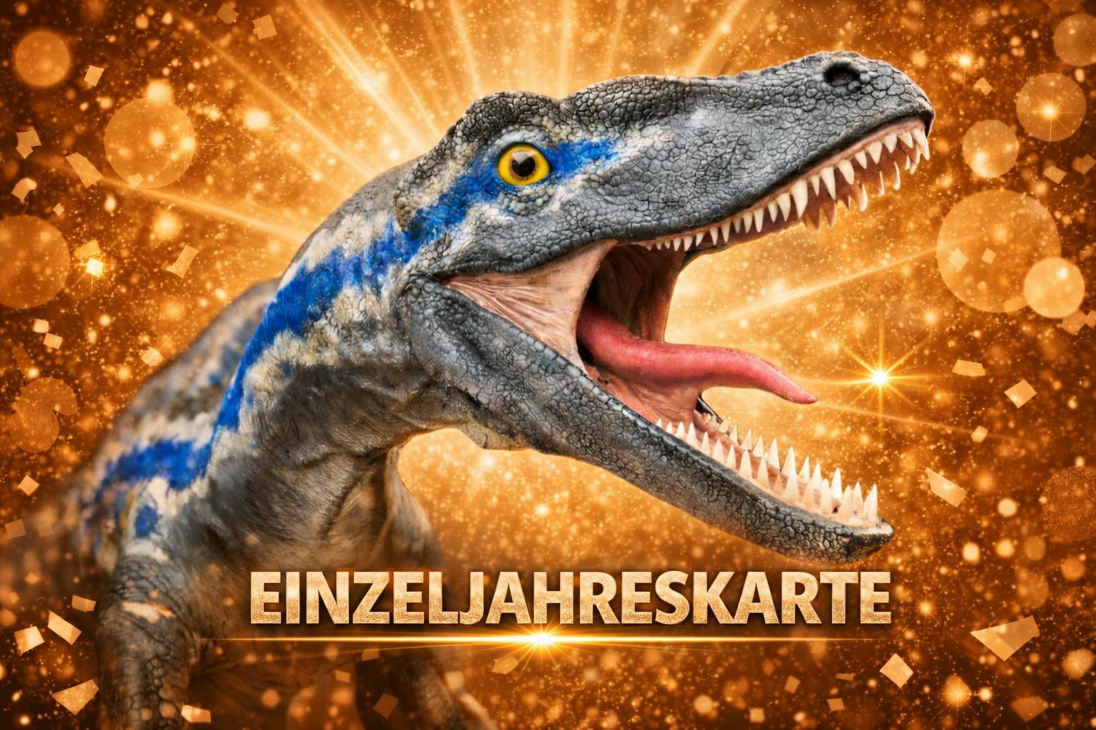 Einzeljahreskarte