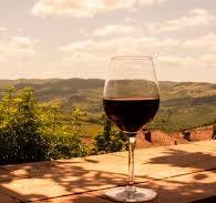 Discover the world of Italian wine