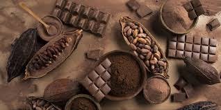 Discover the world of chocolate