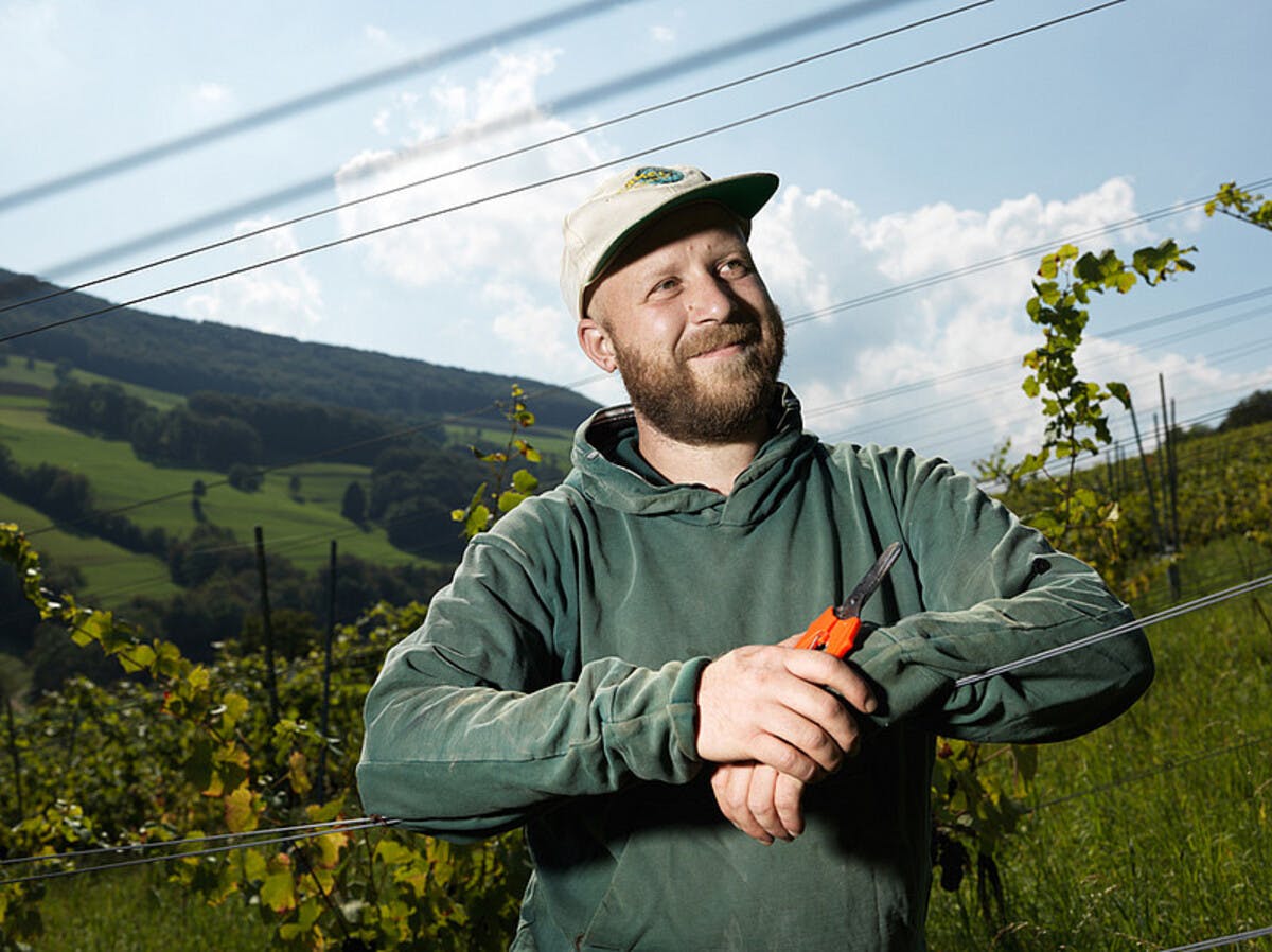 Winzerabend mit Tom Litwan von Oberhof AG