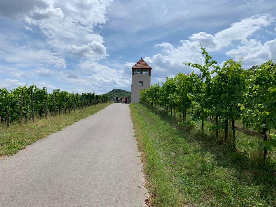 Brunch im Markusturm