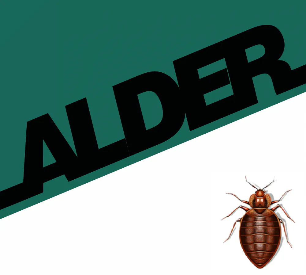 Schädlingsbekämpfung & Prävention – Grundsätze und Eigenprävention