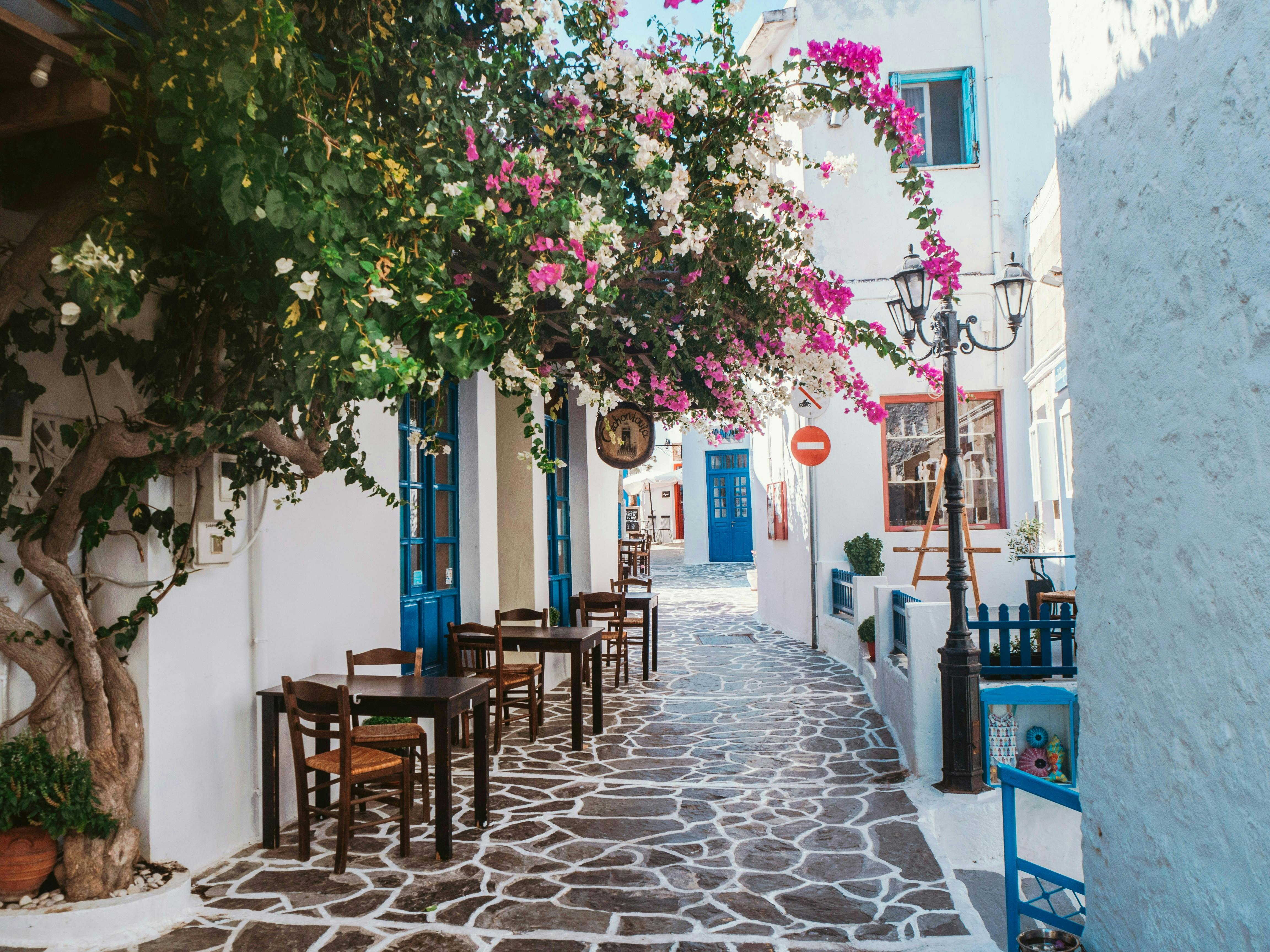 Greek Night