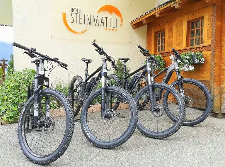 E-Bike oder Tesla mieten