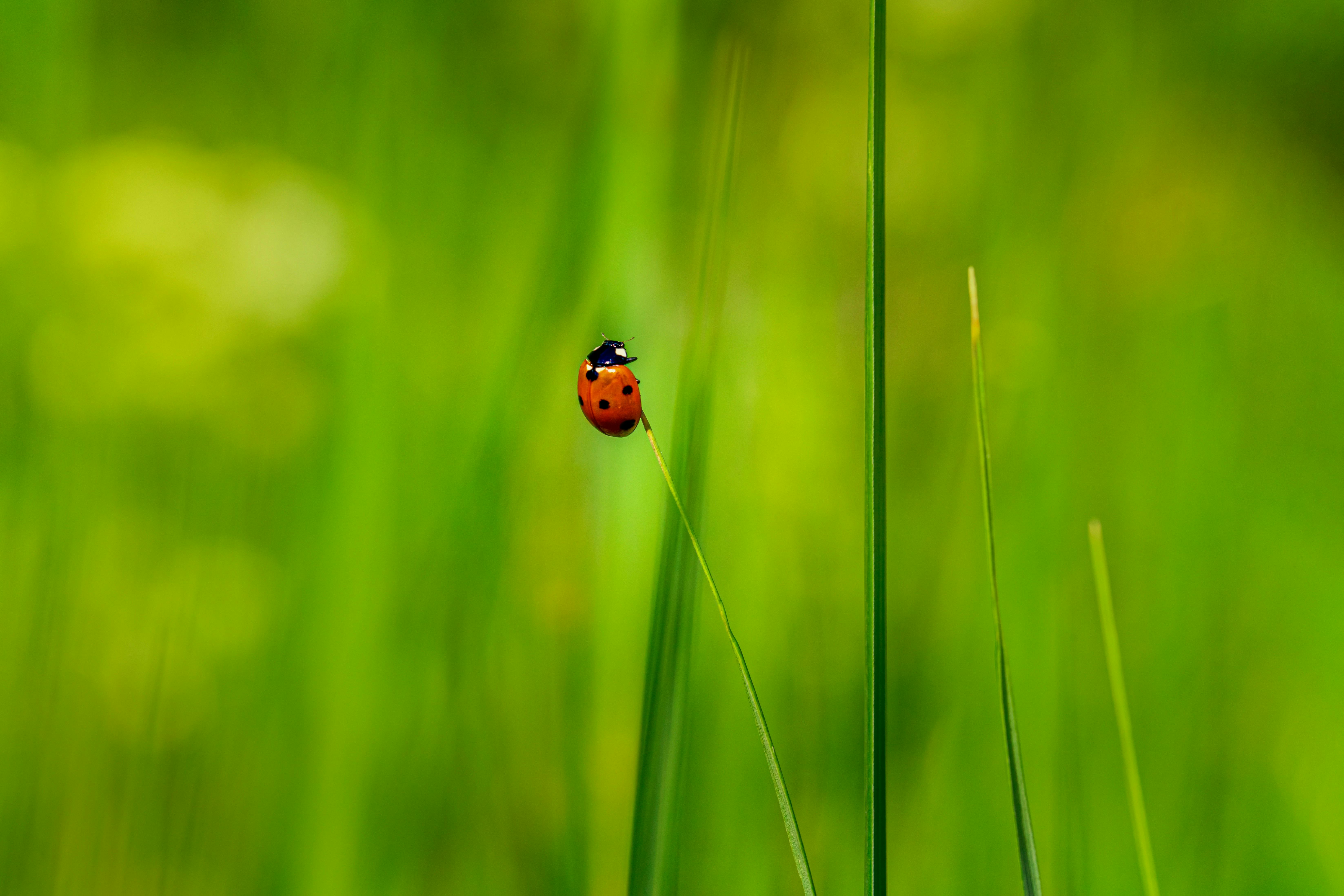 Biodiversitätstage