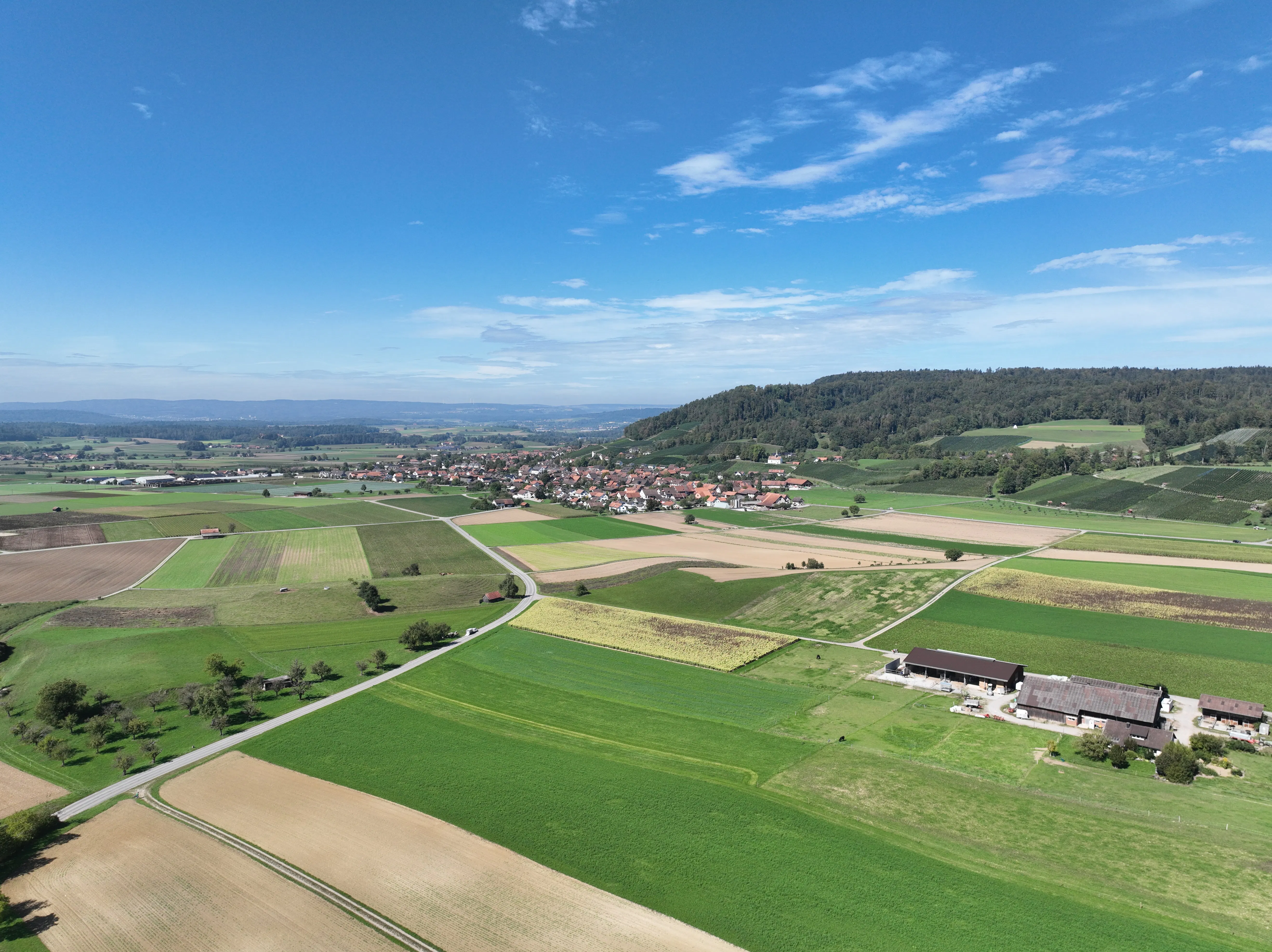 Eintritte