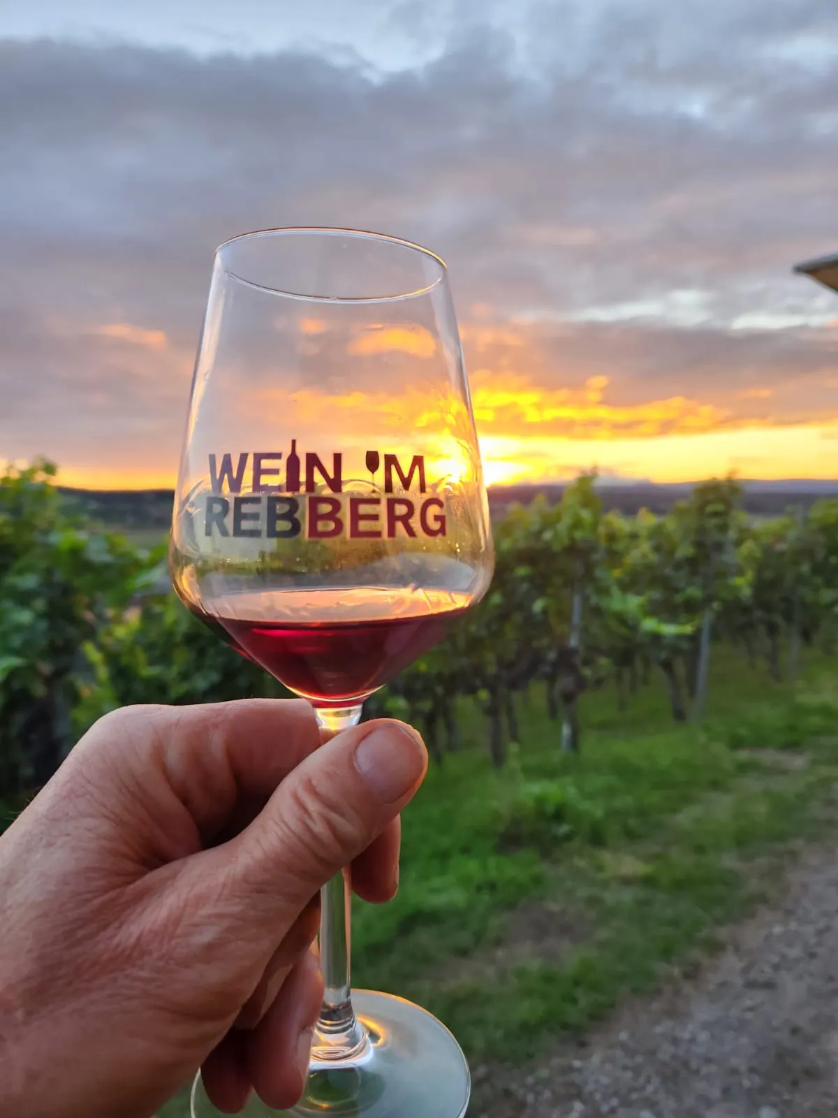 Wein im Rebberg 2026