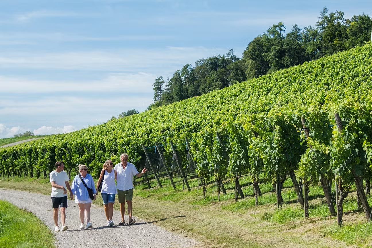 Wine, Dine & Hike im Stammertal 