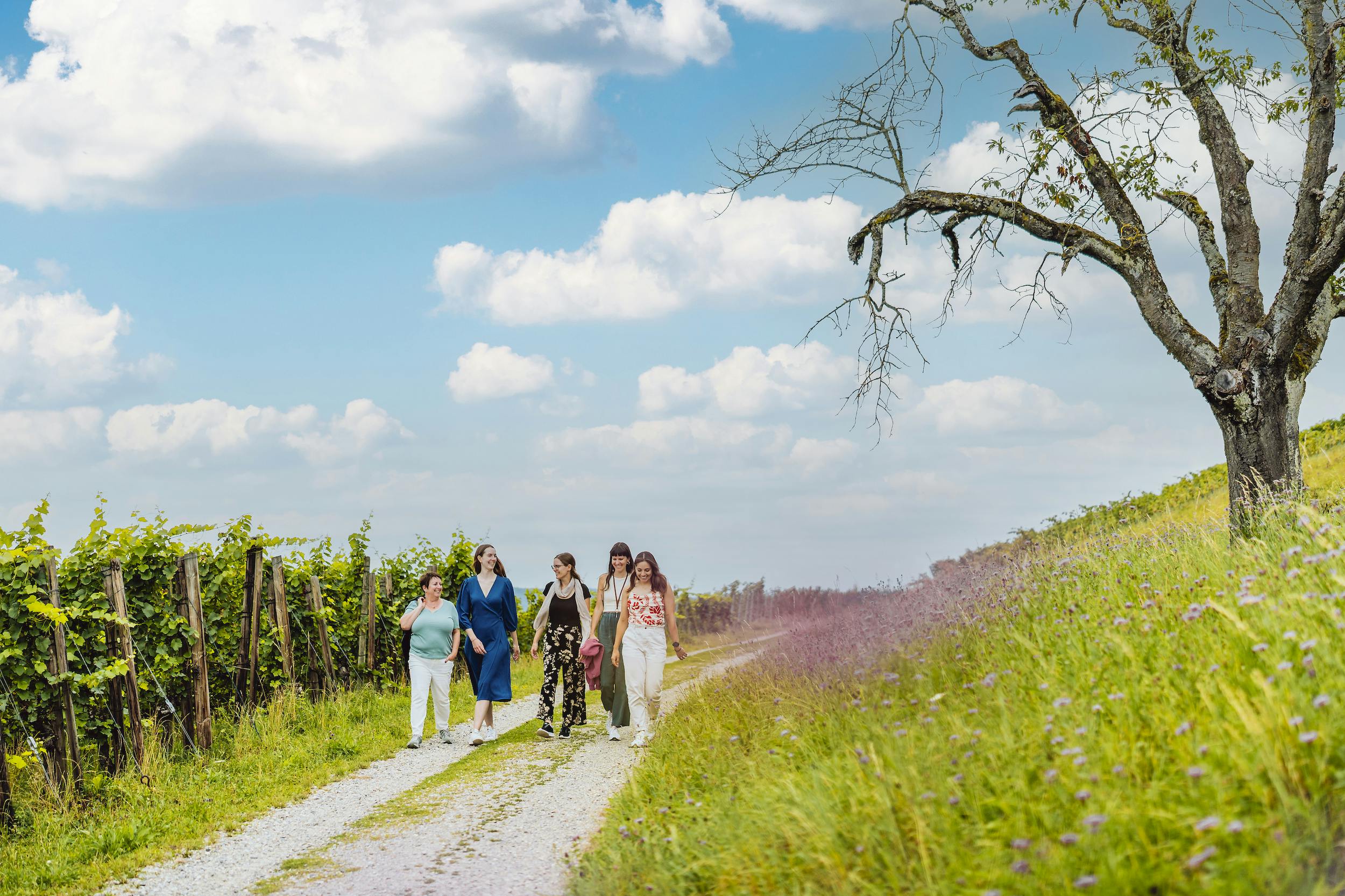 Wine, Dine & Hike vom Rheinfall ins Weinland