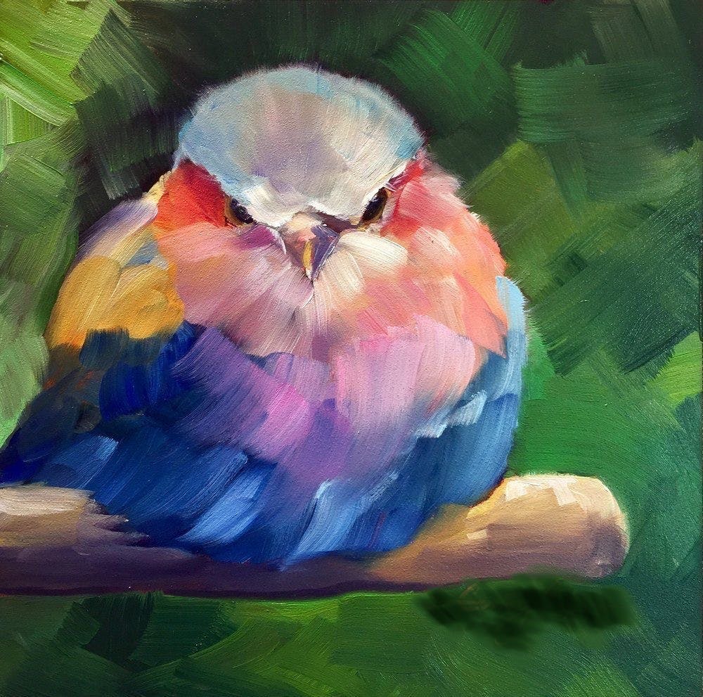 Chubby, Gay Bird - Zürich