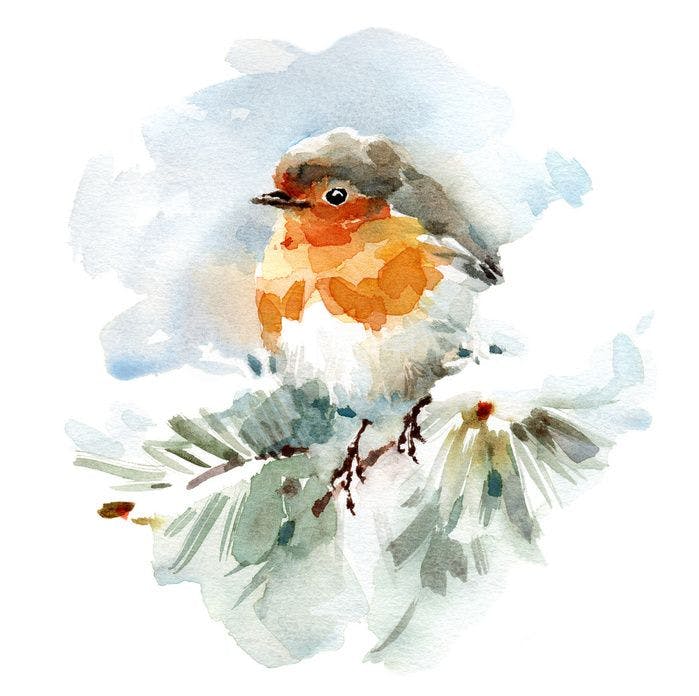 Robin in the Snow - Zürich