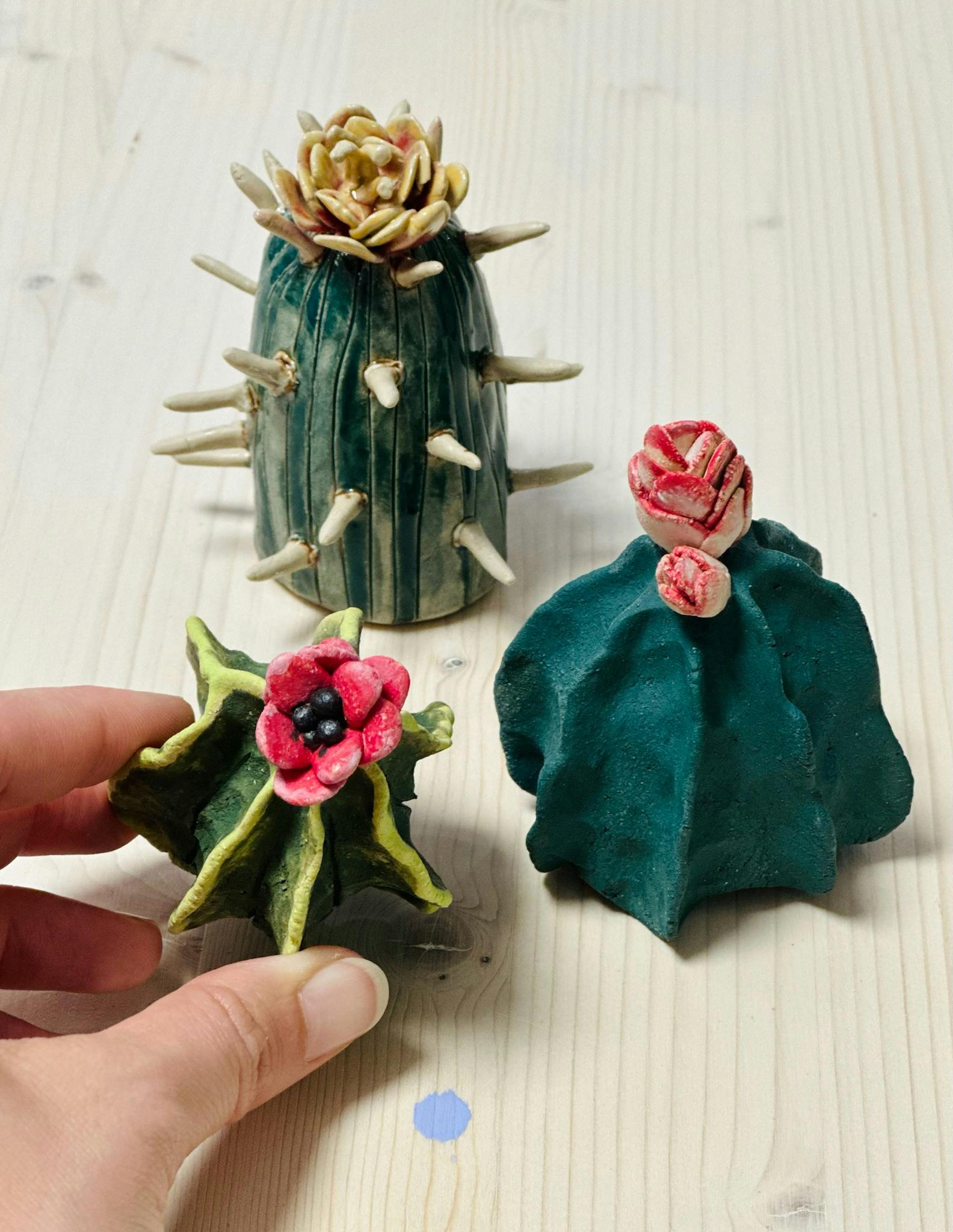 Succulent Life - Zürich