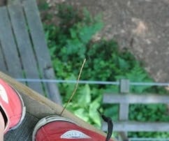 Gruppen-Coaching: Höhenangst?!