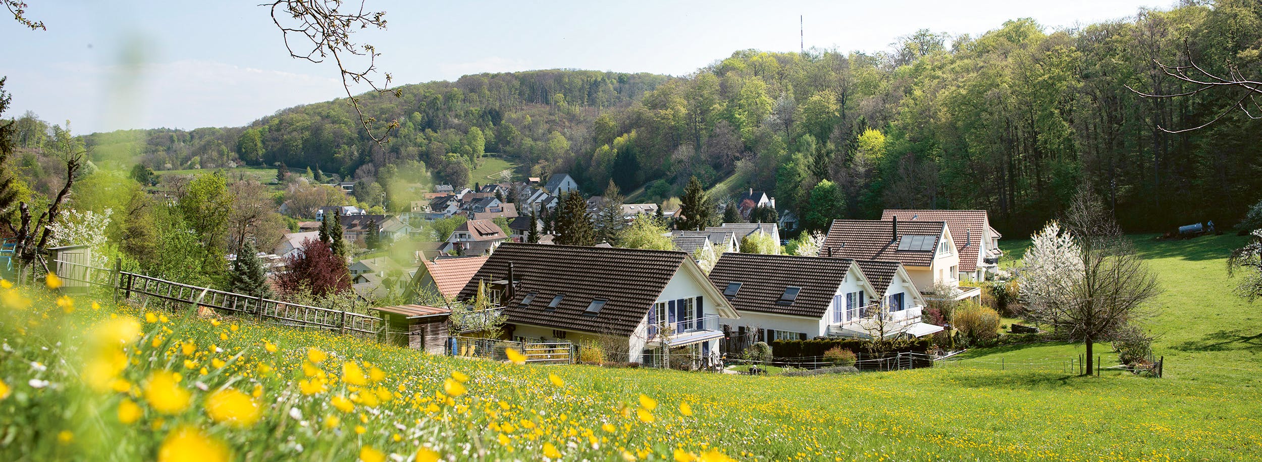 Wertgutschein