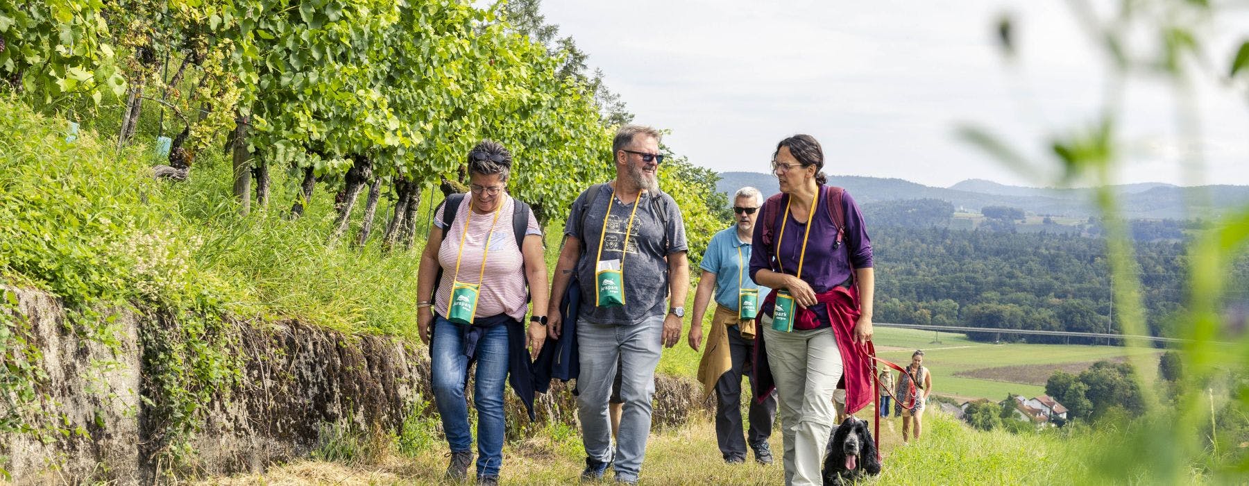 Weinwanderung im Mettauertal: Sa, 29. & So, 30. August 2026