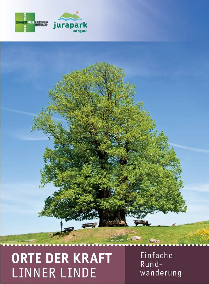 Orte der Kraft - Linner Linde