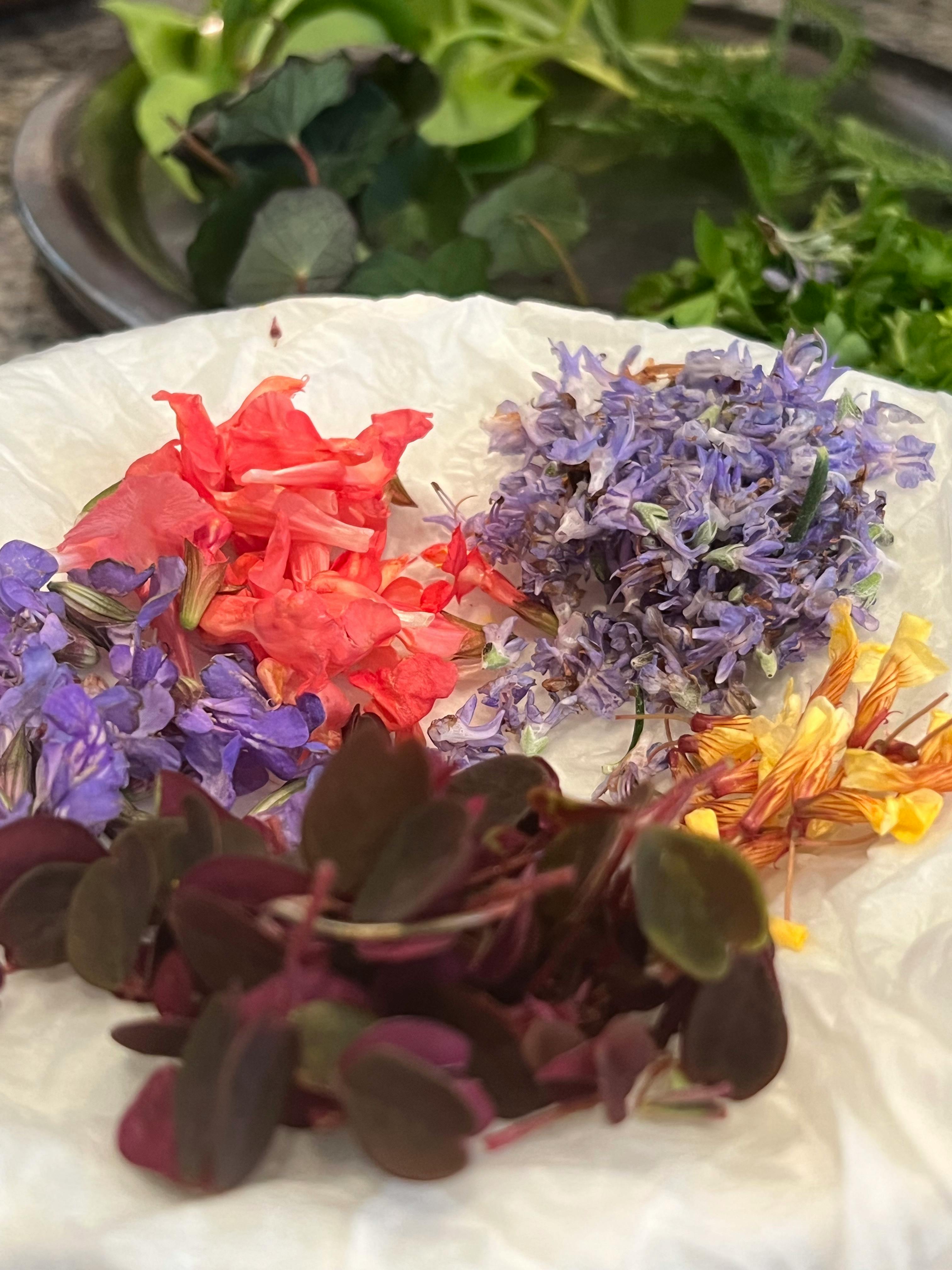 Überraschungsmenü in 4 Gängen