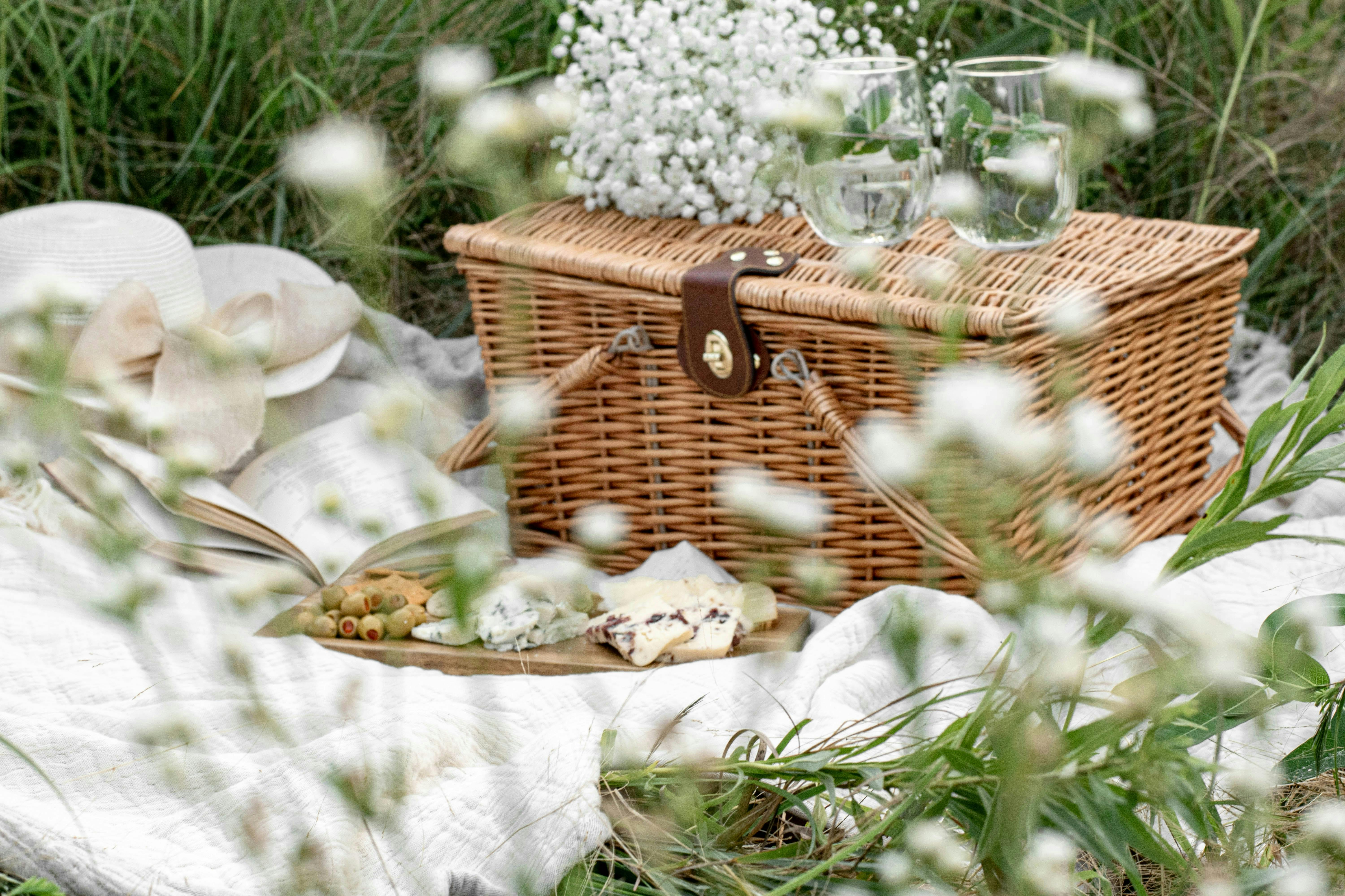 Picknick-Korb