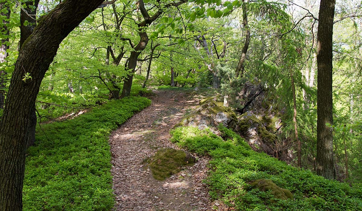 Wanderbares Wasserlos