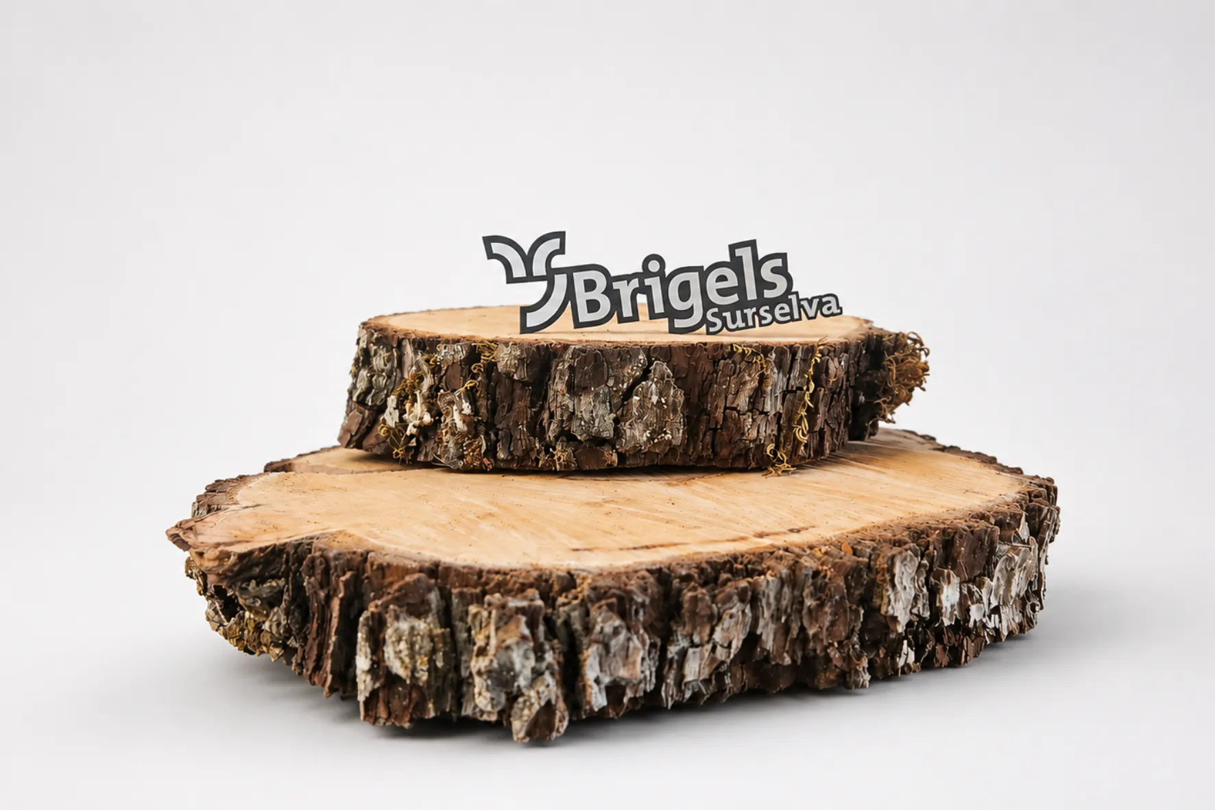 Autoplakette Brigels