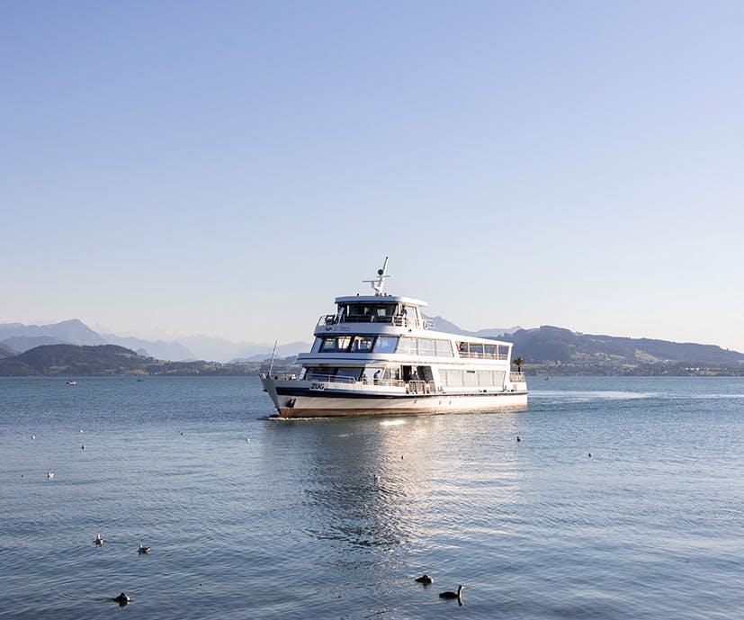 Around-the-lake-cruise voucher Lake Zug