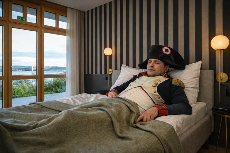 Napoleon und Kultur