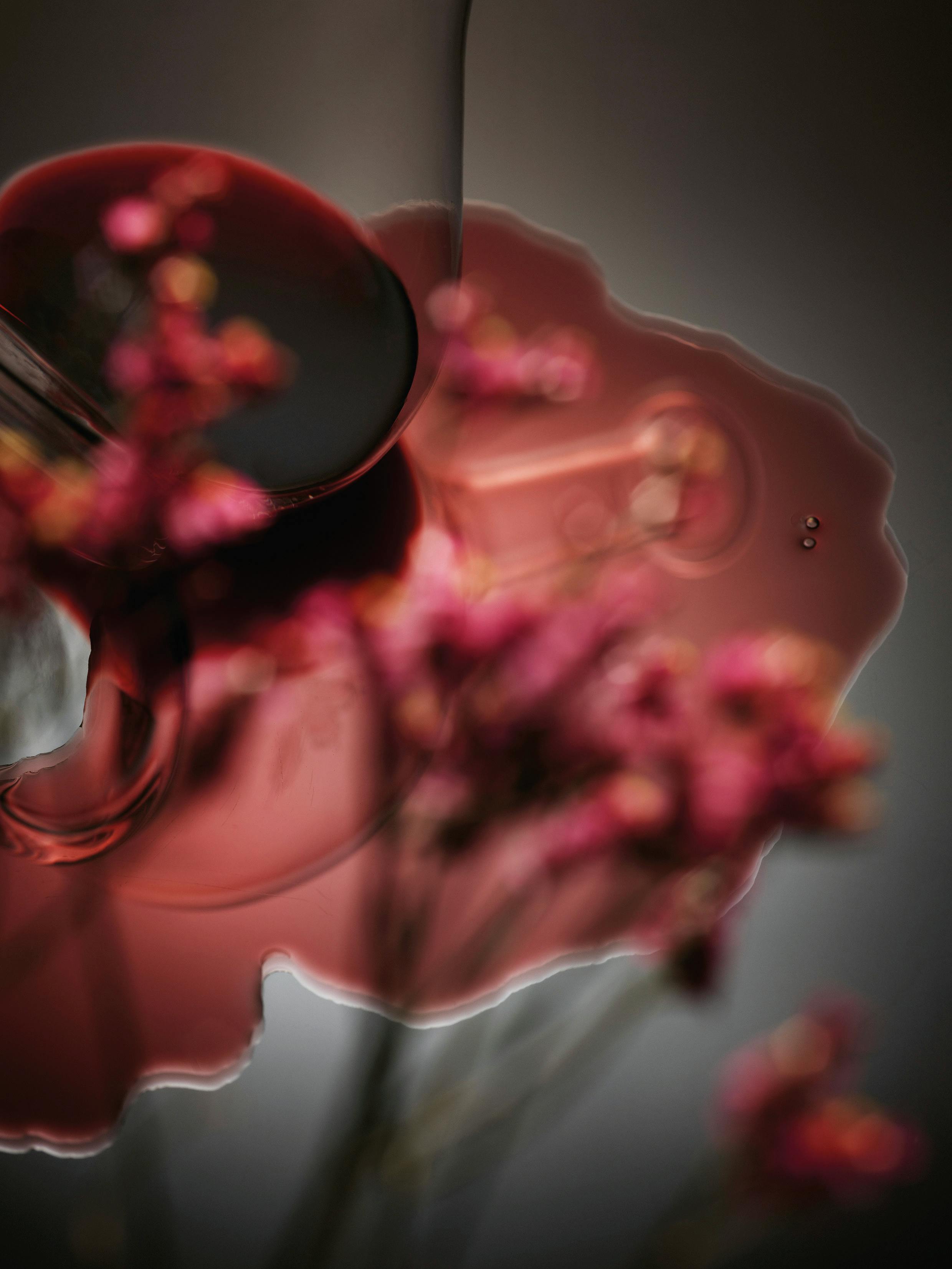 Vergani-Welt Gutschein