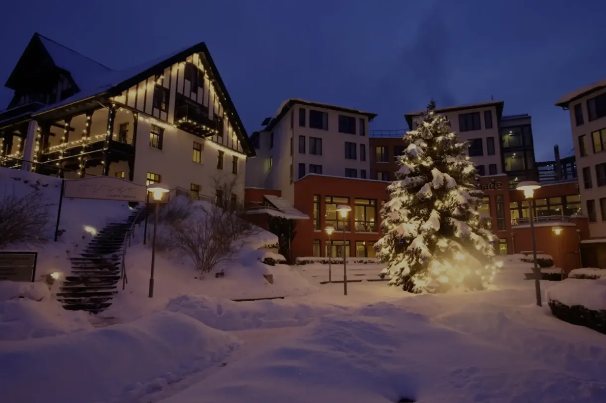 Adventsmarkt im Forum (27. - 29. November 2026)