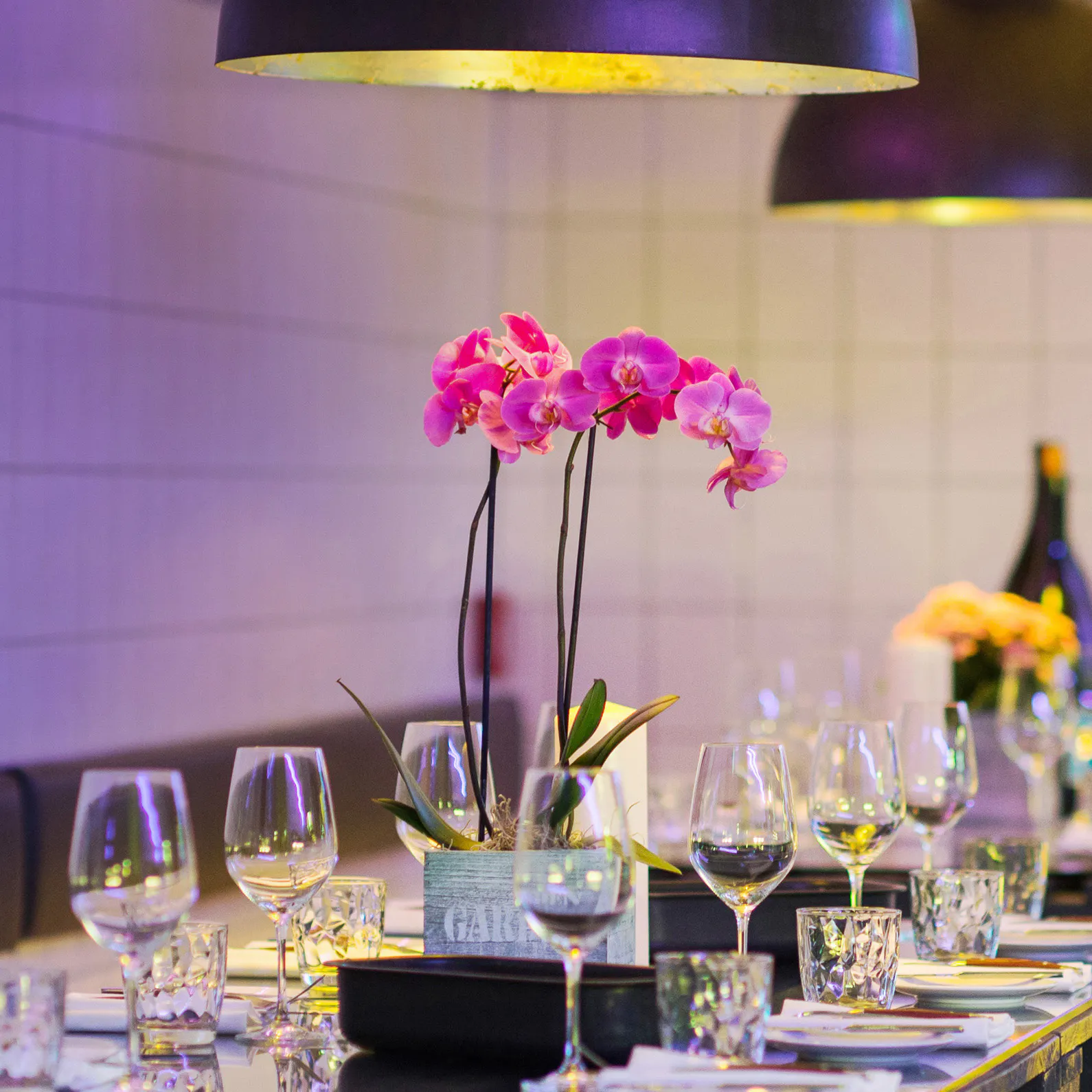 Chef’s Table – Das Dinner - Erlebnis
